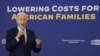 VaJoe Biden 