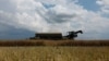 An agricultural worker operates a combine during a rapeseed harvesting in a field near the village Kyshchentsi in Cherkasy region, Ukraine, July 18, 2023. 