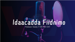 Idaacadda Habeenimo