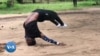 Une gymnastique suédoise pour lutter contre les addictions au Mozambique