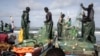 Des pêcheurs déchargent du poisson dans un port de pêche à Cap Skirring, au Sénégal, le 16 mai 2024.