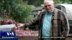 Si i shpëtojnë disa njerëz trashëgimisë gjenetike të Alzheimerit?