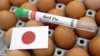 FILE - A test tube, eggs and a paper Japanese flag are seen in this picture illustration, Jan. 14, 2023. 