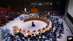 Резолюції, які засуджують військові дії Росії щодо України, в РадБезі набирають мінімум дев'ять голосів