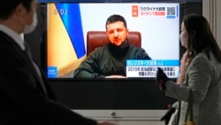 زیلنسکی