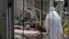 Ébola revela débil sistema de cuidado de salud