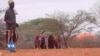 Sécheresse au Kenya: plus de 4 millions de personnes en détresse alimentaire