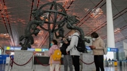 中文推特用戶熱議中國特色科學與疫情