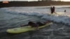 Dans la ville côtière de Tarfaya, une académie de surf fait planer les jeunes