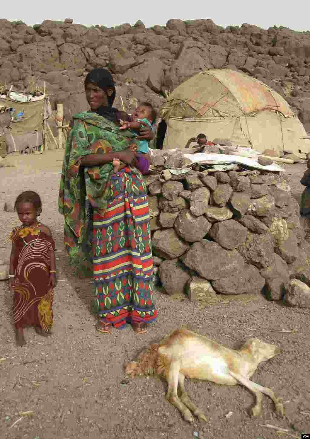 អ្នកស្រុក​ Afar នៃប្រទេស​អេត្យូពី។