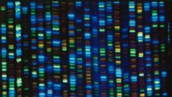 科學家擴展DNA“參考指南”以反映人類多樣性