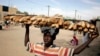 ARCHIVES - Un garçon porte des miches de pain à Nouakchott, en Mauritanie, le 5 décembre 2009. 