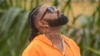 L'artiste congolais Ferre Gola devait se produire pour la 10ème édition du festival Amani à Goma en RDC.