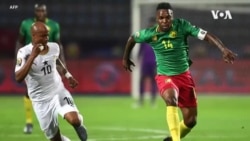 Deux matchs amicaux pour les Lions indomptables en attendant le Qatar