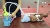 En Ukraine, un appareil respiratoire fabriqué au Kenya pour les bébés prématurés