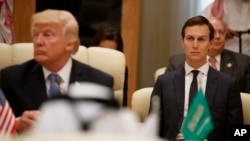Doonald Traamp fi Jaared Kushiner