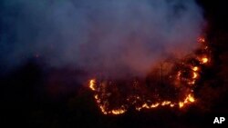 This aerial image taken from video shows a brush fire that broke out in a park on the northern tip of Manhattan, in Inwood, New York, Nov. 13, 2024. (WABC-TV via AP)