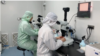 Nueva variante del virus hallada en Nueva York