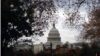 Capitol Hill in Washington, DC, Nov. 10, 2013 (Diaa Bekheet/VOA).