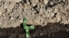 Hunger Spreads in Central America as Erratic Weather Continues