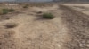 Scientists Harvest Drinking Water from Desert Air