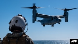 MV-22B Osprey mendarat di kapal Angkatan Laut Australia HMAS Adelaide (L01) selama Latihan Southern Jackaroo 23, di lepas pantai Queensland, Australia. (Foto: Skyler M. HARRIS/US MARINE CORPS/AFP)
