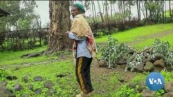 ከምሽቱ 3:00 የአማርኛ ዜና