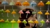 Hong Kong Protesters to Hold Referendum