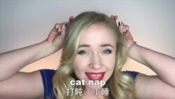 OMG!美语 Cat Nap!