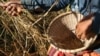 Organic Farmers Look to Expand Production