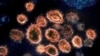 Virus Outbreak COVID 