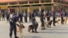 Angola Polícia cães 