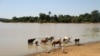 កំណើន​កម្តៅនិង​លំហួត​ទឹក​នៅ​បឹង​ក្នុង​ប្រទេស​ម៉ាលី​​ធ្វើ​ឲ្យ​អ្នក​នេសាទ​បាត់បង់​ក្តីសង្ឃឹម​