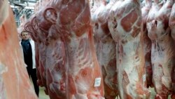Moçambique proíbe importação de determinadas carnes da África do Sul