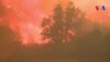 La Californie touchée par le plus grand incendie de son histoire