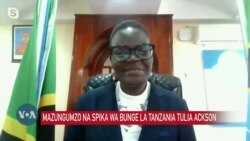 Spika wa Bunge la Tanzania aeleza wajibu wa bunge kubana matumizi