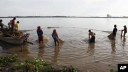 Residents in the floating villages here say they rely on fish to feed their families, but they are only allowed to use nets 50 meters in length or shorter. 