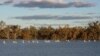 In an undated photograph, pelicans swim in a river at the cotton producer Cubbie Station near Dirranbandi in Queensland, 600 km west of Brisbane, August 17, 2009.