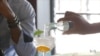 Gin Up, South Africa: Gin Craze Going Big