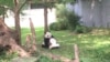 華盛頓國家動物園為大熊貓添添慶祝21歲生日
