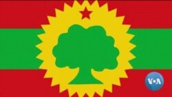ከምሽቱ 3:00 የአማርኛ ዜና