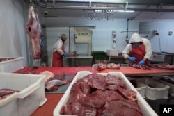 FILE - A butcher works on a shoulder of venison at Ben Rigby's venison meat facility in Mundon, England, Oct. 31, 2024.