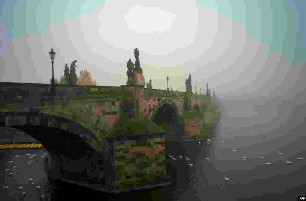 ស្ពាន Charles Bridge នៅ​អំឡុងពេល​ចុះ​អព្ទ​ពេល​ព្រឹក​មួយ​ ក្នុង​រដ្ឋធានី​ប្រាក។