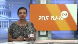ጋቢና ቪኦኤ