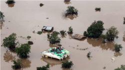 África em posição privilegiada para combater as mudanças climáticas - 14:00