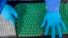 FILE - An employee packs a box containing vials of Covishield, a version of the AstraZeneca vaccine, at the Serum Institute of India in Pune, Nov. 22, 2021.