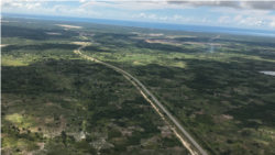 Cabo Delgado: Captura de militantes pode ajudar a travar a o terrorismo, sugere analista