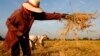 Empowering Women in Cambodia’s Farming Sector
