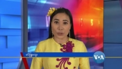 နေ့စဉ် တီဗွီသတင်းလွှာ (၀၄-၁၅-၂၀၂၀) 