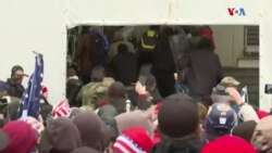 Palmantè Ameriken yo Make Anivese Atak Sipòtè Donald Trump Kont Kongrè a